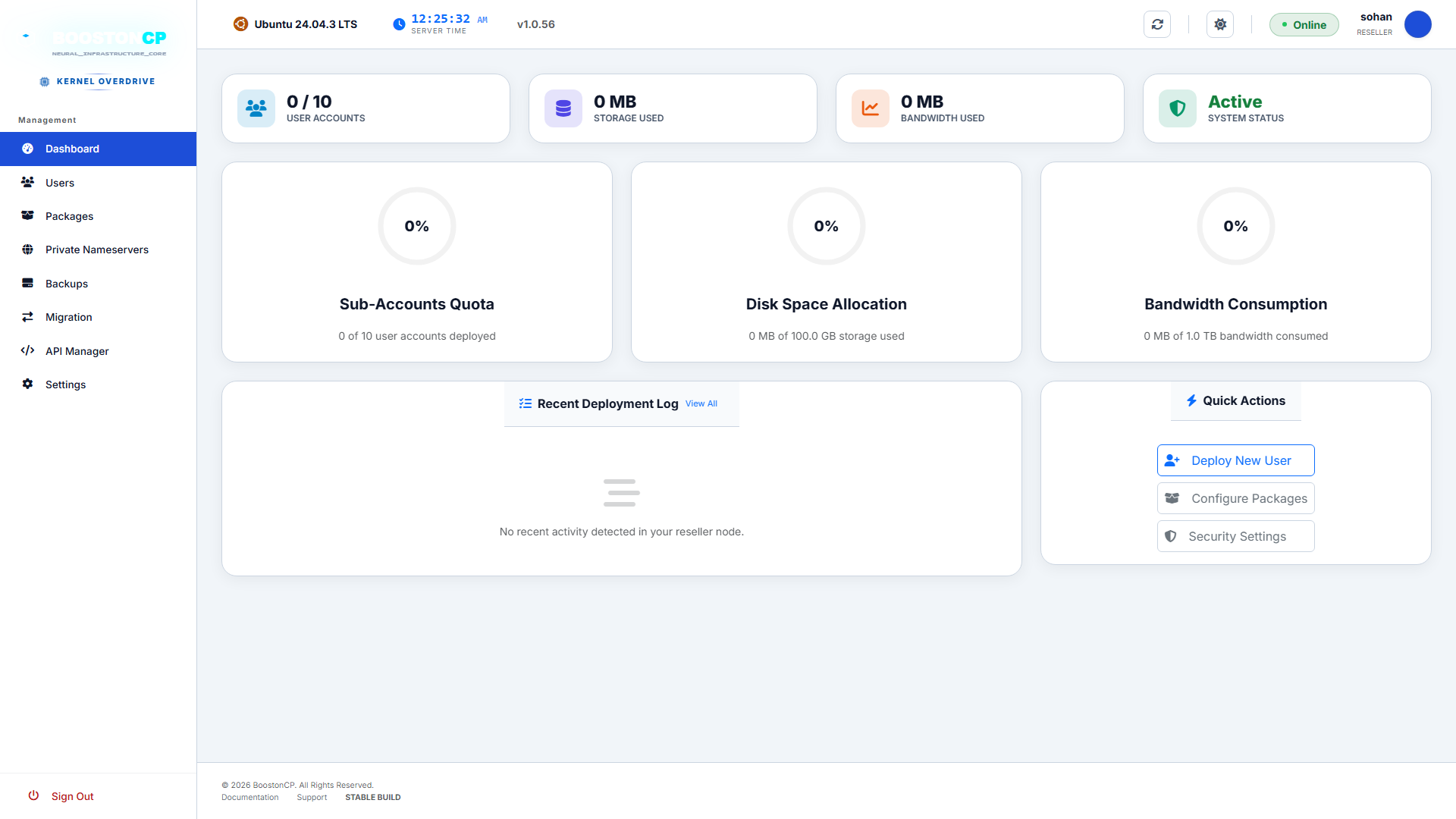 BoostonCP Reseller Panel Dashboard Overview
