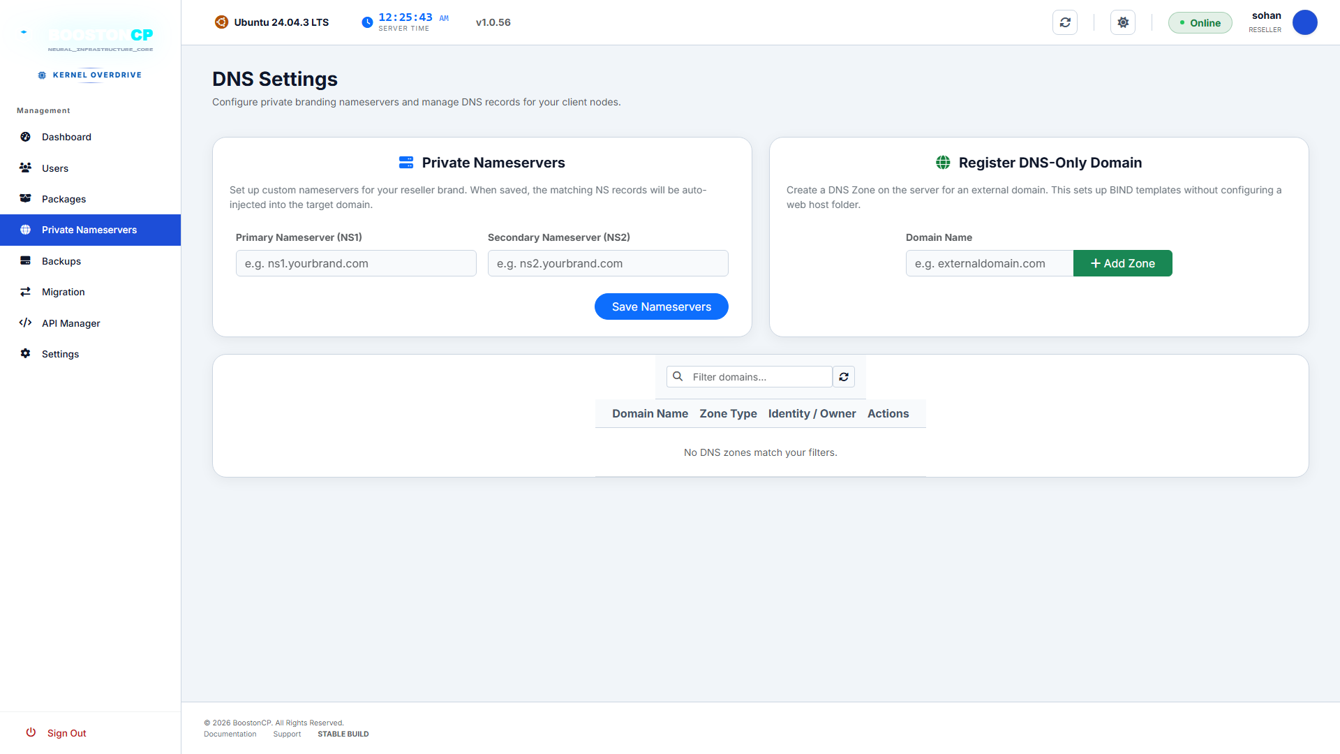BoostonCP Reseller Private Nameservers & DNS Overview